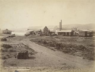 petone 1880