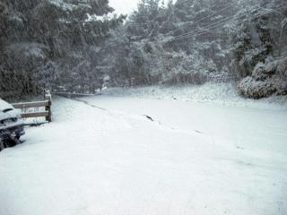 IMG_1393_760.jpg