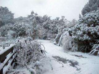 IMG_1406_760.jpg