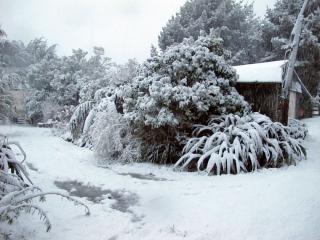 IMG_1407_760.jpg