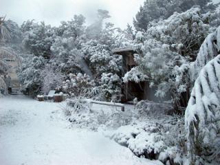 IMG_1409_760.jpg