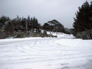 IMG_1451_760.jpg