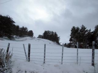 IMG_1453_760.jpg