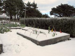 IMG_1472_760.jpg