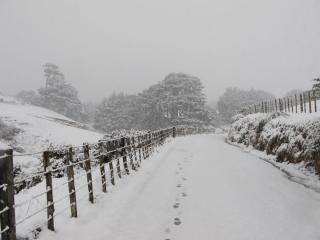 IMG_1490_760.jpg