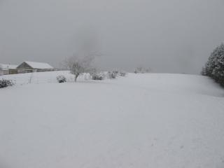 IMG_1499_760.jpg