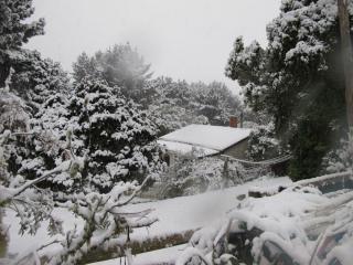 IMG_1524_760.jpg