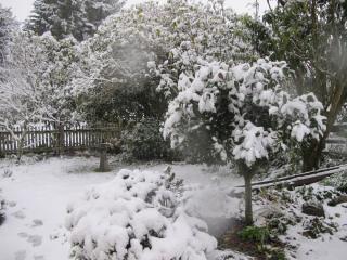 IMG_1531_760.jpg
