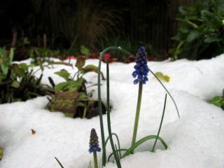IMG_1542_760.jpg